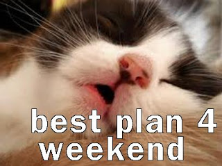 funny-cat-meme-my-plans-4-the-weekend