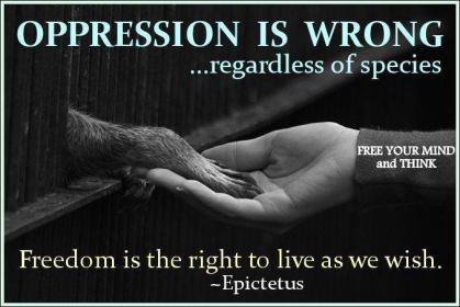 oppression-quotes-8