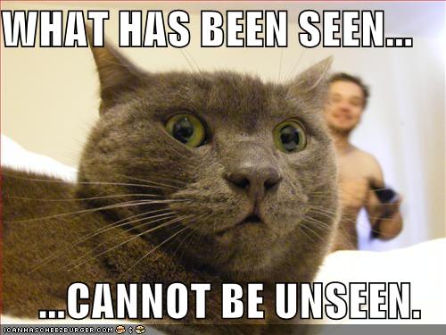 funny-pictures-scared-cat-naked-guy